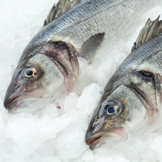 冷凍魚